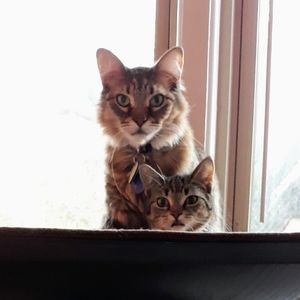 Meet your Posher, Heidi